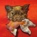 画像1: トラ猫 (1)